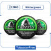 Grizzly Wintergreen 12 mg Nicotine Pouch import placeholder for 35870
