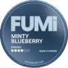 FUMi Minty Blueberry Strong import placeholder for 108507