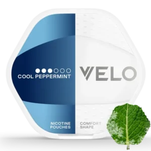 import placeholder for 112124