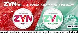 import placeholder for 103781